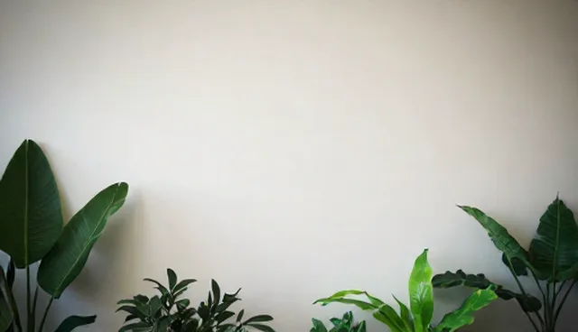 教学设计对职业资格认证辅导效果的影响